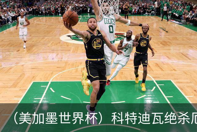 （美加墨世界杯）科特迪瓦绝杀厄瓜多尔 瑞典5:1大胜突尼斯