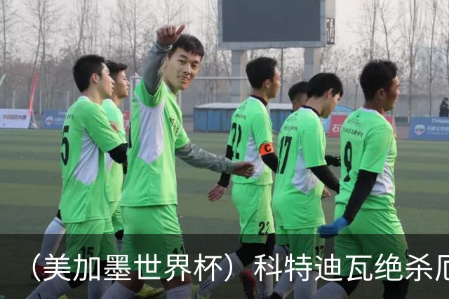 （美加墨世界杯）科特迪瓦绝杀厄瓜多尔 瑞典5:1大胜突尼斯